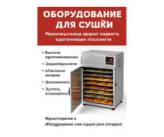 Оборудование для сушки – Максимальная эффективность и сохранение свежести!
