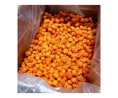 Дикороссы урожая 2025 года