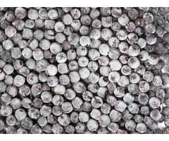 Дикороссы урожая 2025 года