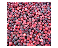 Дикороссы урожая 2025 года