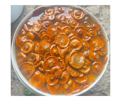 Грибы солёные, рыжики, белые.