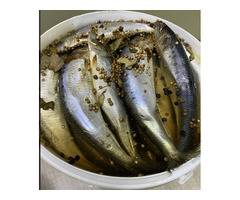 Свежая селёдка в продаже!