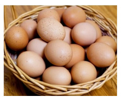 Свежие куриные яйца домашнего производства