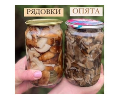 Грибы маринованные, 300 ₽