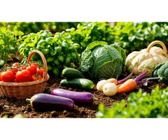 Заключаю договора с фермерами Рязанской области