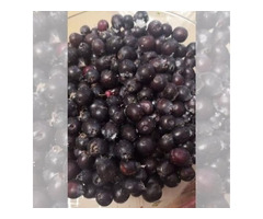 Замороженные ягоды