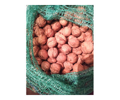 Грецкий орех .