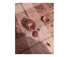 Грецкий орех .