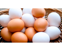 Свежие яйца прямо с фермы на ваш стол!