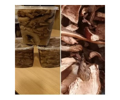 Сухие Грибы - 450 р за 100 гр