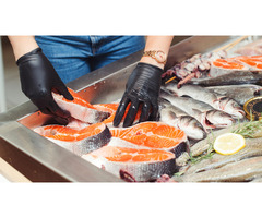 Рыба свежая оптом и в розницу