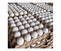 Здоровые и свежие яйца от местных ферм