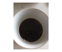 Продам шиповник