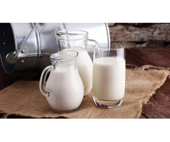 Молоко коровье охлажденное, оптом
