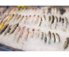 Свежая рыба от производителя — покупайте с гарантией качества!