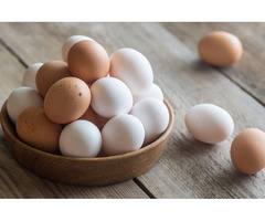 Свежие куриные яйца