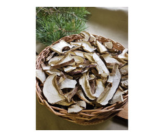 Сушеные белые грибы не дорого