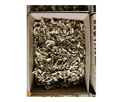 Сушеные белые грибы не дорого