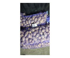 Картофель сорта Лимонка