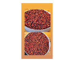 Продам ягоды Сбор сентябрь 2025 год