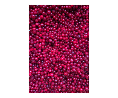 Продаю ягоды / грибы