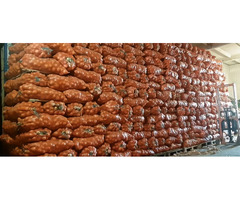 Оптом картофель капуста морковь лук свёкла фрукты