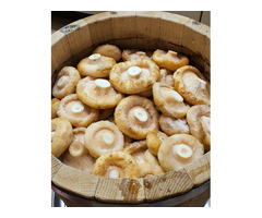 Продам грибы - Грузди настоящие, мохнатые, квашенные со специальной закваской