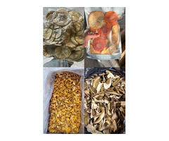 Продам грибы из Алтайского края