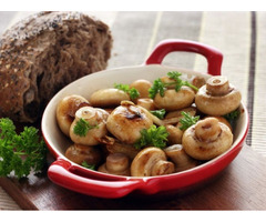 Устали от обычных блюд? Откройте для себя магию лесных грибов