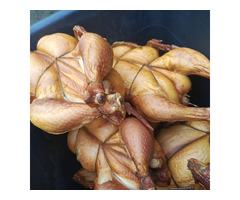 Конченая утка и бройлер