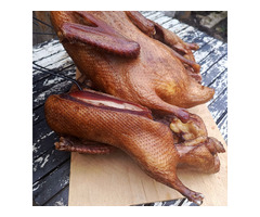 Конченая утка и бройлер